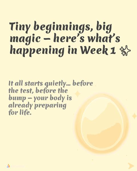 infograhic for 1st week