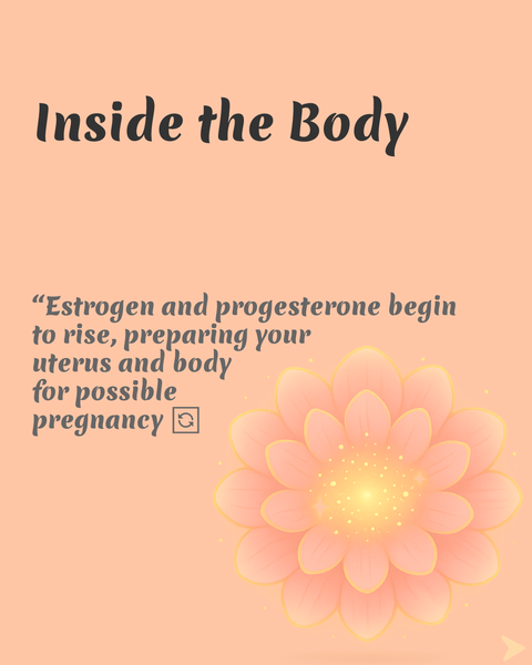inside the body infographic